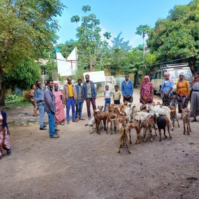 2IGA opportunity throgh Goat provision_600x450