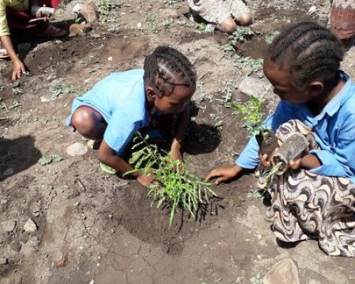 Children participation on tree planting campaign_600x450